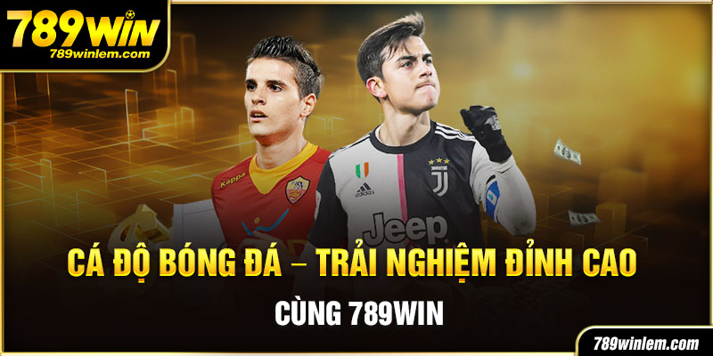 cá đọ bóng đá