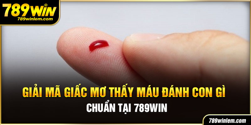 giai-ma-giac-mo